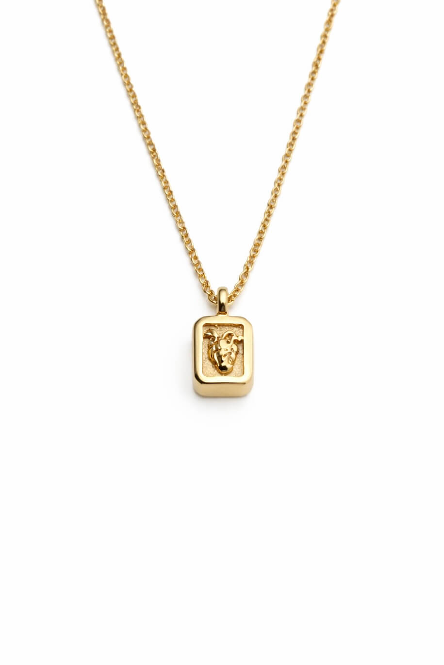 Collana reversibile "Viva la vida" Argento placcato oro 1