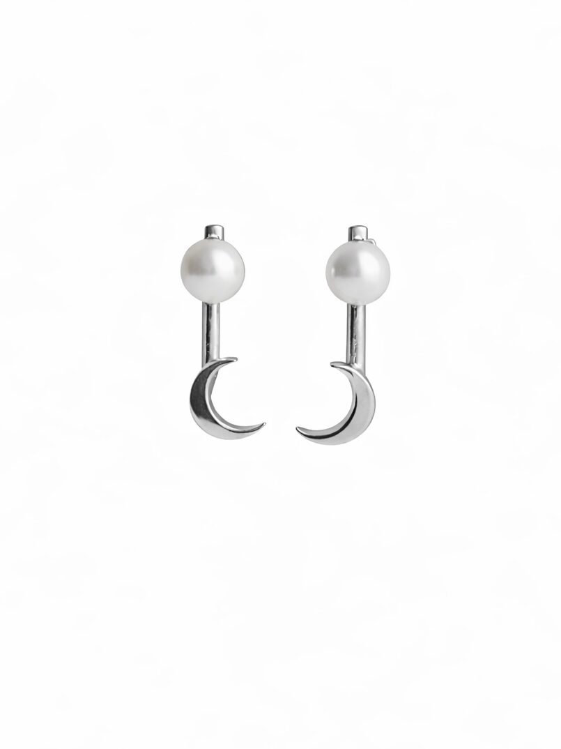 Orecchini Canto notturno argento